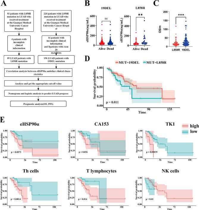 https://cdn.ncbi.nlm.nih.gov/pmc/blobs/ceb3/11245848/0fd0b60f600f/12885_2024_12573_Fig4_HTML.jpg