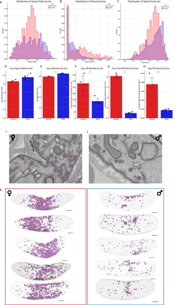 https://cdn.ncbi.nlm.nih.gov/pmc/blobs/ceb4/11695595/2f88c1362355/41467_2024_55413_Fig2_HTML.jpg