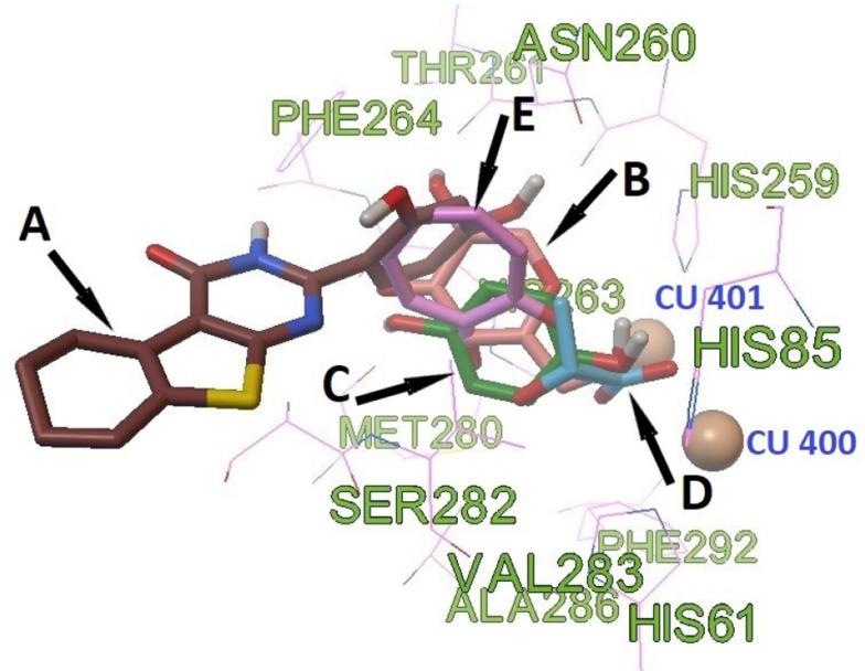 https://cdn.ncbi.nlm.nih.gov/pmc/blobs/ceb5/9420225/484c8ad42f9b/ijpr-21-1-126557-g003.jpg