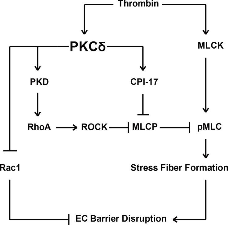 https://cdn.ncbi.nlm.nih.gov/pmc/blobs/ceb6/4956111/6ecd066b387b/pone.0158865.g008.jpg