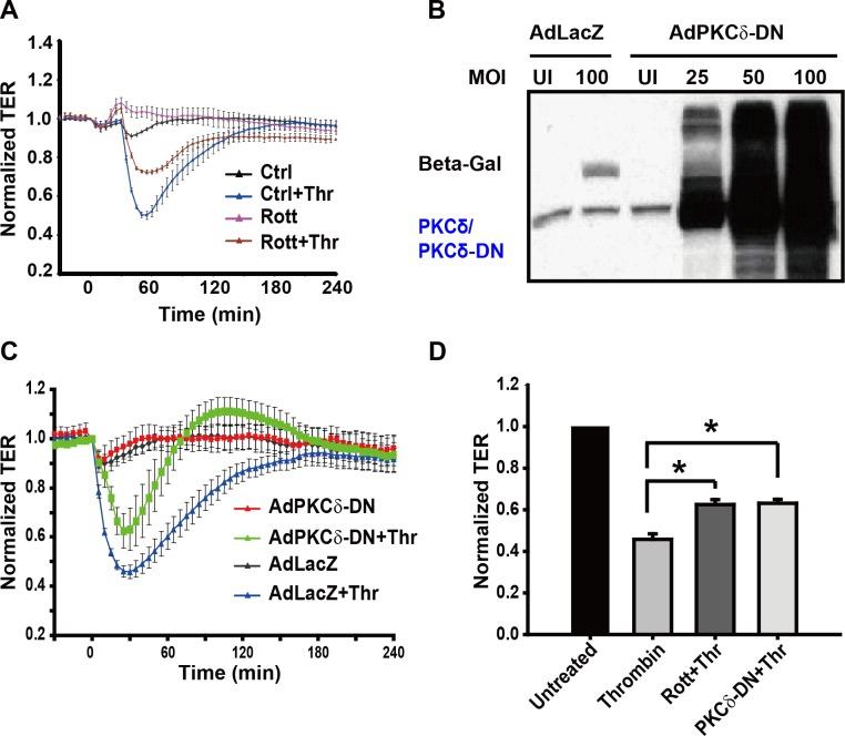 https://cdn.ncbi.nlm.nih.gov/pmc/blobs/ceb6/4956111/a981f90117c4/pone.0158865.g002.jpg