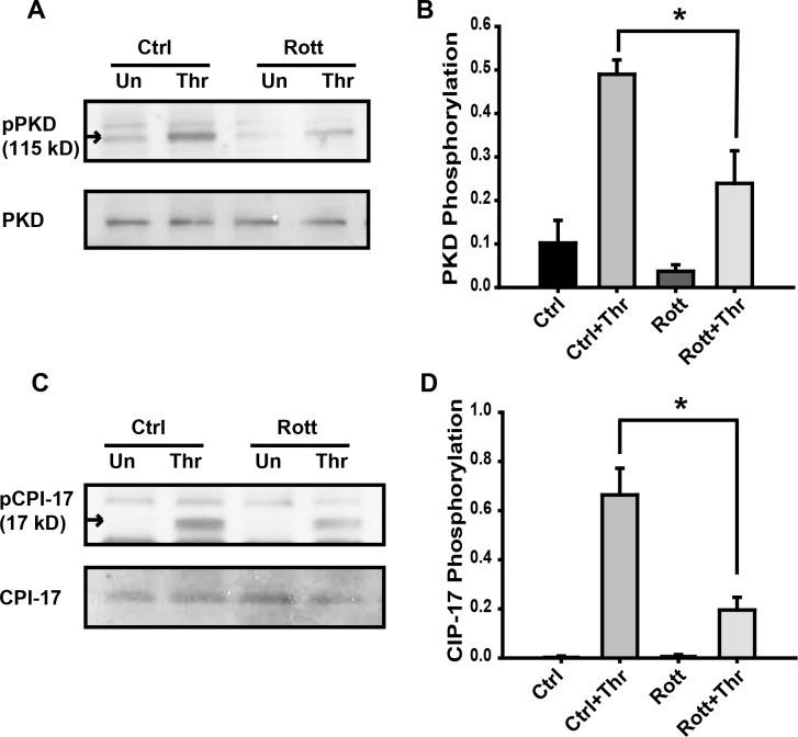 https://cdn.ncbi.nlm.nih.gov/pmc/blobs/ceb6/4956111/c5a627957e80/pone.0158865.g006.jpg