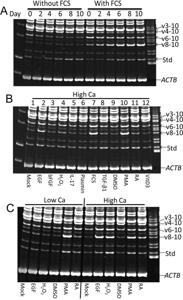 https://cdn.ncbi.nlm.nih.gov/pmc/blobs/ceb6/4978388/3ecd32170a6e/pone.0160952.g006.jpg