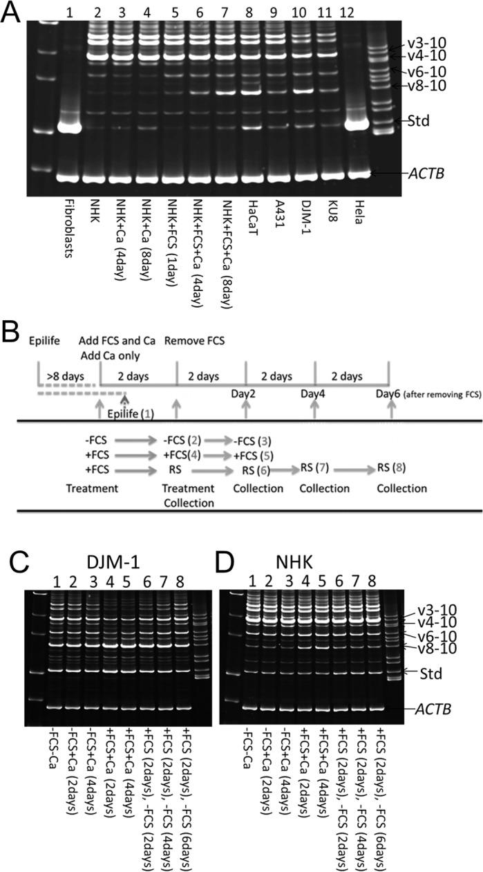 https://cdn.ncbi.nlm.nih.gov/pmc/blobs/ceb6/4978388/b2a9cf52425c/pone.0160952.g007.jpg