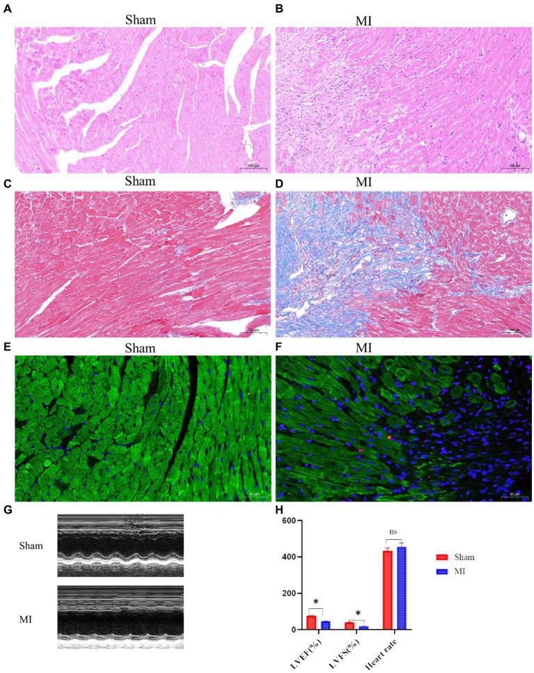 https://cdn.ncbi.nlm.nih.gov/pmc/blobs/ceb8/11112089/b6bc2a76398b/fmicb-15-1389311-g001.jpg