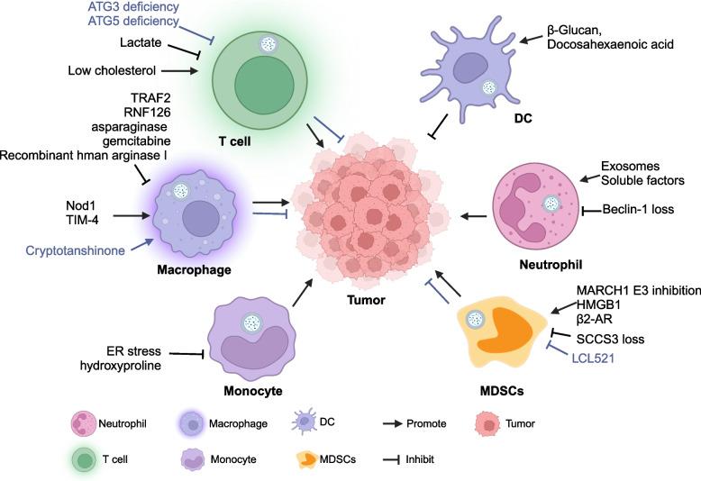 https://cdn.ncbi.nlm.nih.gov/pmc/blobs/ceb8/11921617/b1dfdf41e9e8/12943_2025_2277_Fig5_HTML.jpg
