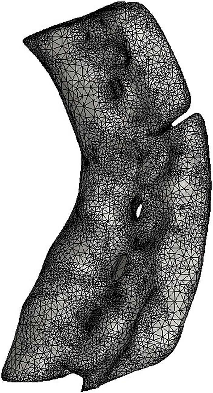 https://cdn.ncbi.nlm.nih.gov/pmc/blobs/ceb9/10523558/8cf0f8581fd7/fbioe-11-1220102-g003.jpg