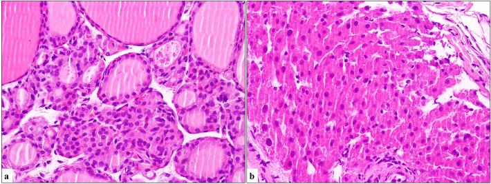 https://cdn.ncbi.nlm.nih.gov/pmc/blobs/ceb9/10799477/ca34dded7861/40001_2024_1654_Fig2_HTML.jpg