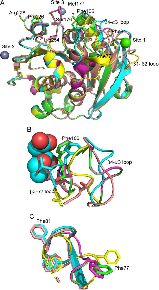 https://cdn.ncbi.nlm.nih.gov/pmc/blobs/ceb9/8326265/8730f2b6bb31/18_168-g002.jpg