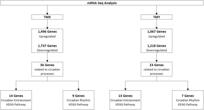 https://cdn.ncbi.nlm.nih.gov/pmc/blobs/ceba/11788004/a838365b3834/ICS-47-123-g003.jpg