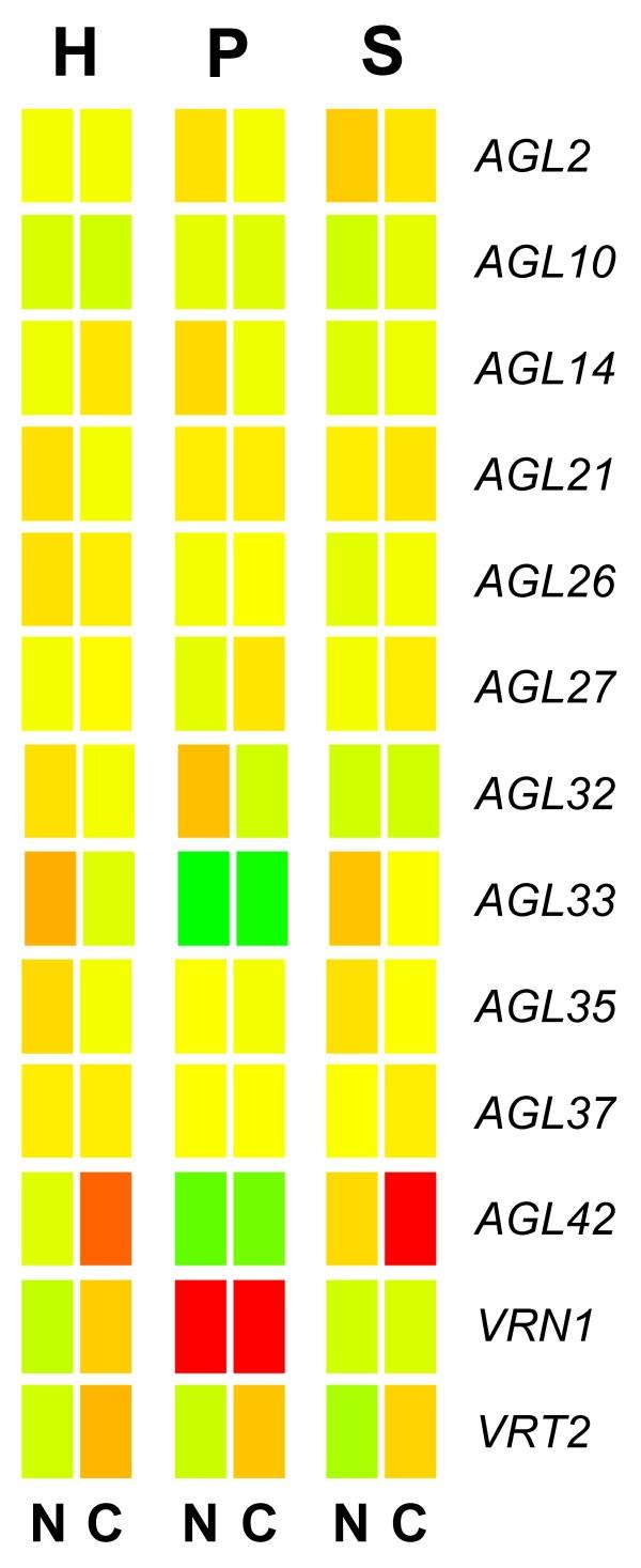 https://cdn.ncbi.nlm.nih.gov/pmc/blobs/cebe/2685395/d2215095a367/1471-2229-9-55-7.jpg