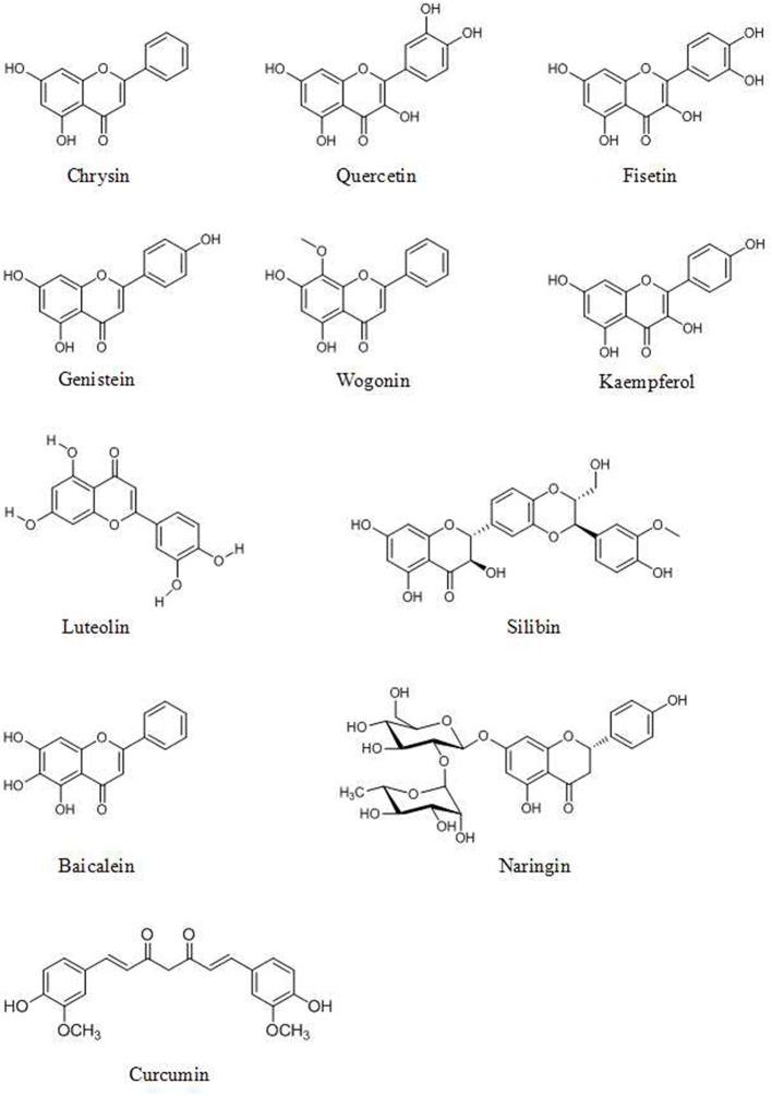 https://cdn.ncbi.nlm.nih.gov/pmc/blobs/cebf/6856297/c8a8b16339ef/fonc-09-01153-g0001.jpg