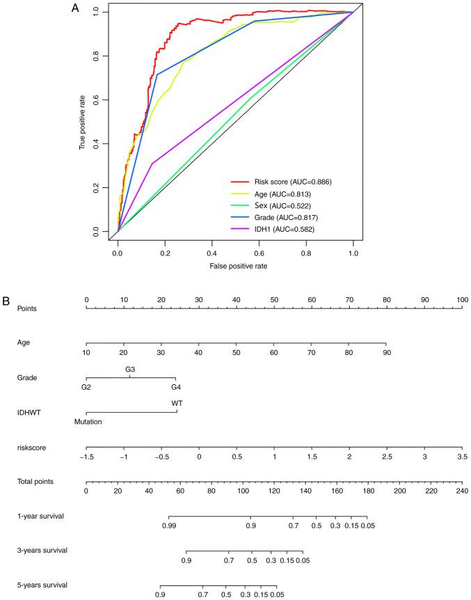 https://cdn.ncbi.nlm.nih.gov/pmc/blobs/cec2/7751470/1018e8c2943e/ol-21-02-12377-g06.jpg
