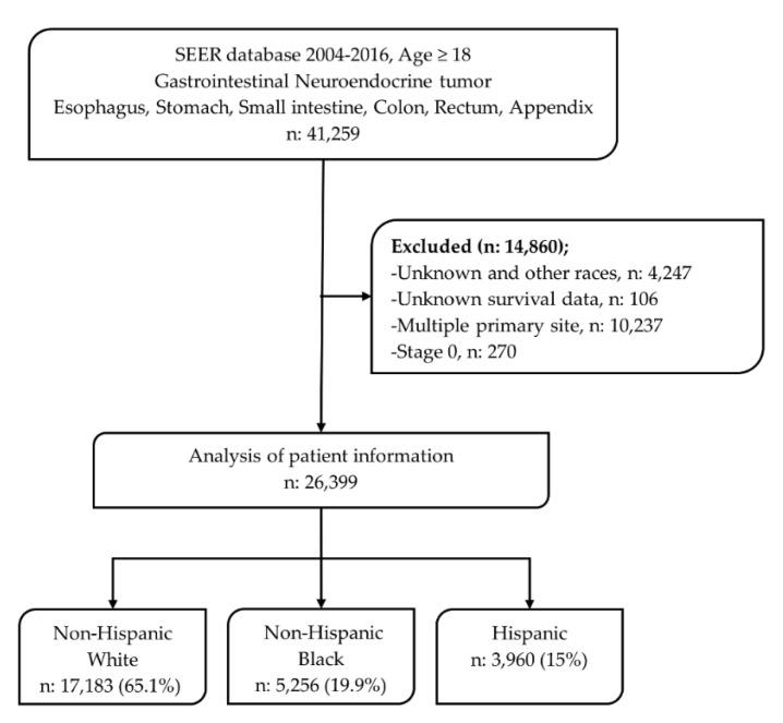 https://cdn.ncbi.nlm.nih.gov/pmc/blobs/cec3/7602558/5b97cc3cc024/cancers-12-02990-g005.jpg