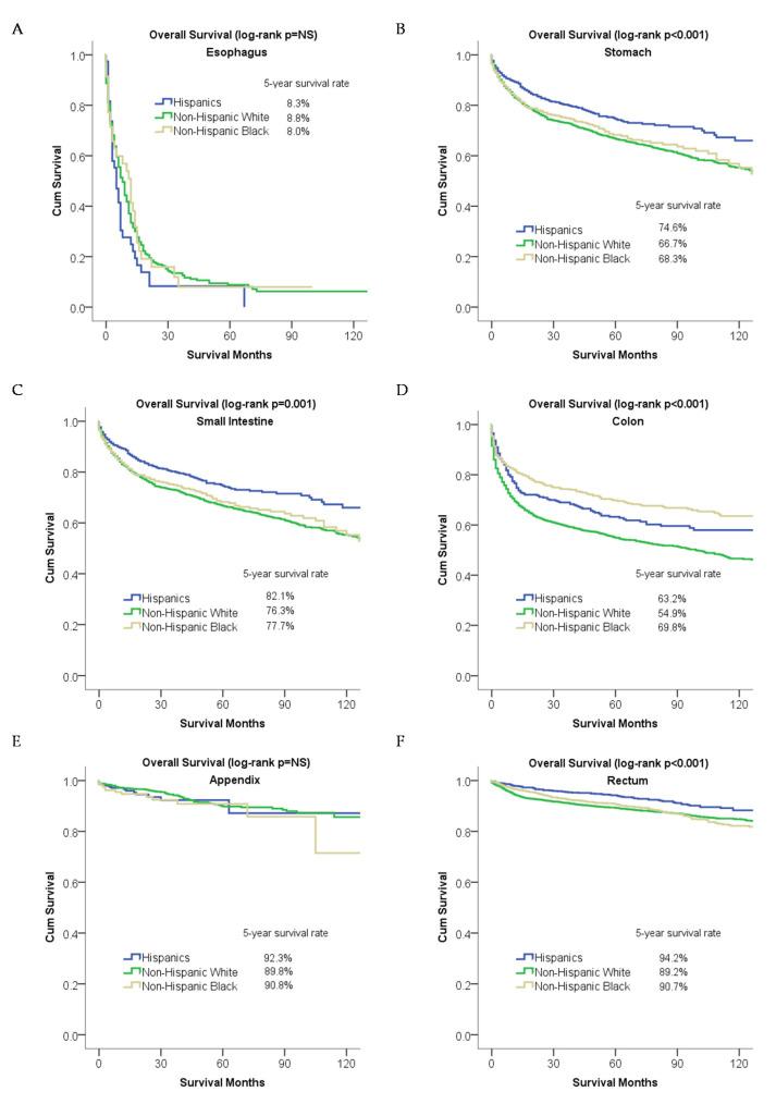 https://cdn.ncbi.nlm.nih.gov/pmc/blobs/cec3/7602558/77069b98bea6/cancers-12-02990-g003.jpg