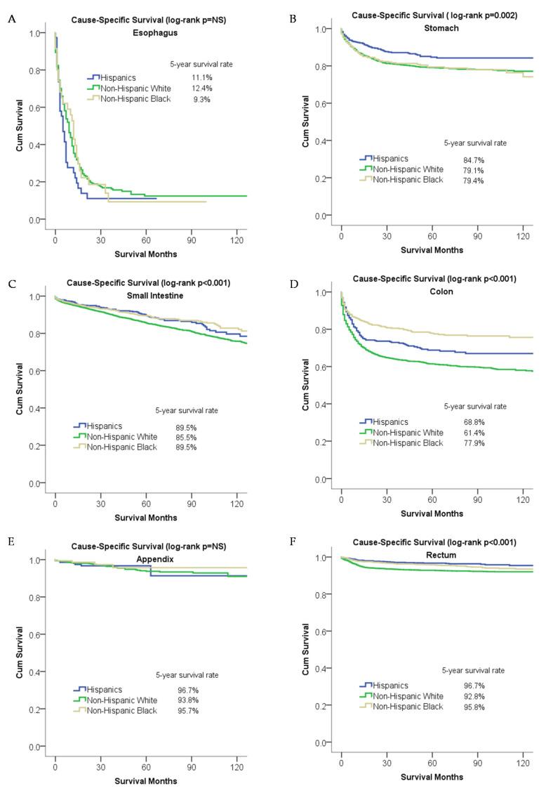 https://cdn.ncbi.nlm.nih.gov/pmc/blobs/cec3/7602558/e24a73cff702/cancers-12-02990-g004.jpg