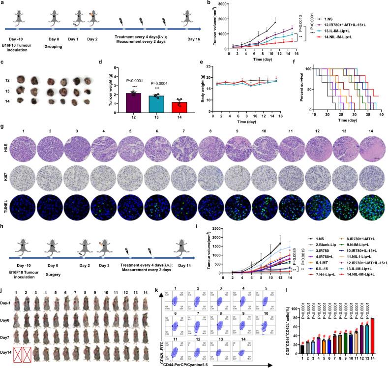 https://cdn.ncbi.nlm.nih.gov/pmc/blobs/cec4/10115817/80b93dfd57a9/41467_2023_38014_Fig6_HTML.jpg