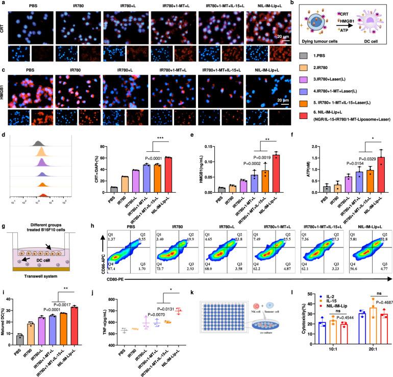https://cdn.ncbi.nlm.nih.gov/pmc/blobs/cec4/10115817/a65c38ec87fa/41467_2023_38014_Fig5_HTML.jpg
