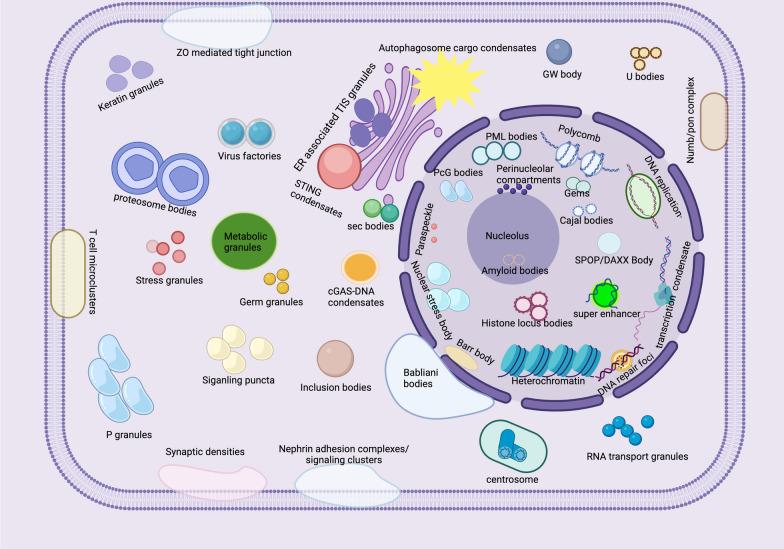 https://cdn.ncbi.nlm.nih.gov/pmc/blobs/cec4/10726551/dd419c5f9cf3/13045_2023_1522_Fig2_HTML.jpg