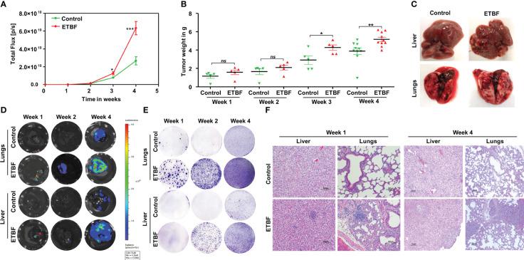 https://cdn.ncbi.nlm.nih.gov/pmc/blobs/cec7/10369066/2479c6096127/fimmu-14-1194931-g001.jpg