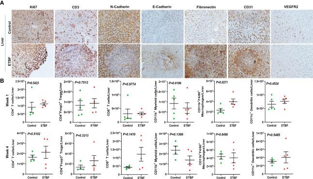 https://cdn.ncbi.nlm.nih.gov/pmc/blobs/cec7/10369066/43e4ee205405/fimmu-14-1194931-g006.jpg