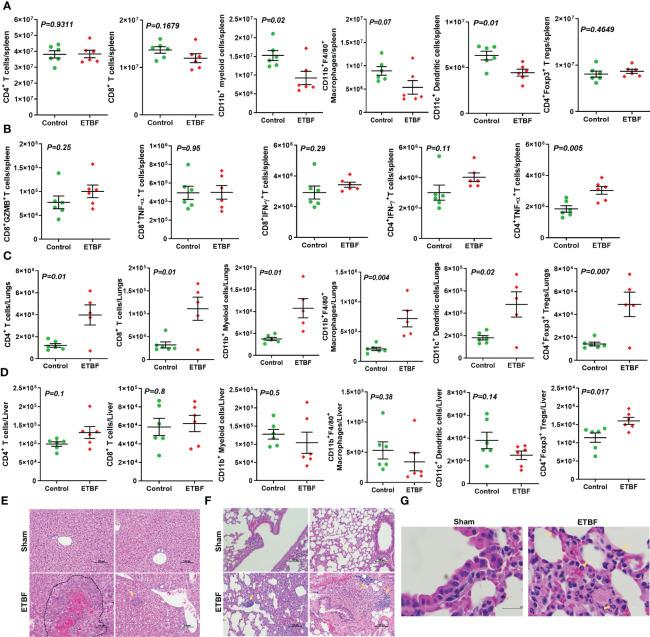 https://cdn.ncbi.nlm.nih.gov/pmc/blobs/cec7/10369066/ab86e7be2ab8/fimmu-14-1194931-g002.jpg