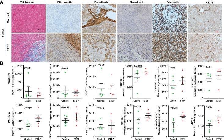 https://cdn.ncbi.nlm.nih.gov/pmc/blobs/cec7/10369066/b987b0f2ac85/fimmu-14-1194931-g003.jpg