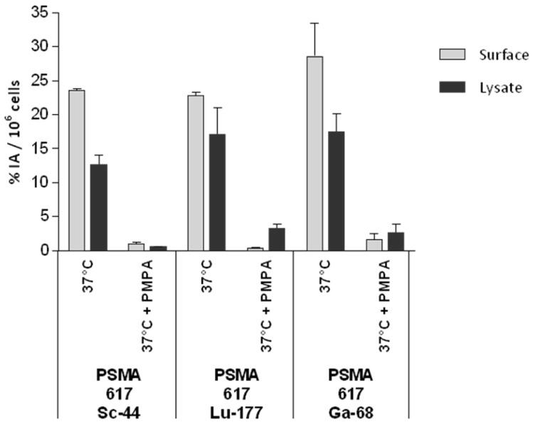https://cdn.ncbi.nlm.nih.gov/pmc/blobs/cec8/5695136/421b3ad54814/thnov07p4359g005.jpg