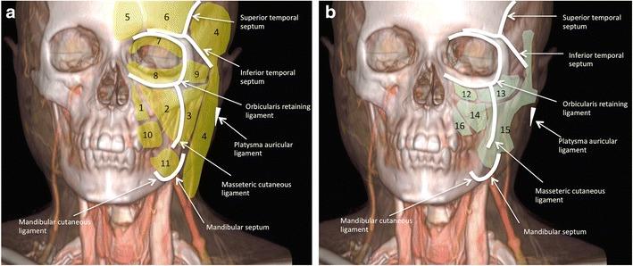 https://cdn.ncbi.nlm.nih.gov/pmc/blobs/cec9/5707222/5be690746249/13244_2017_575_Fig2_HTML.jpg