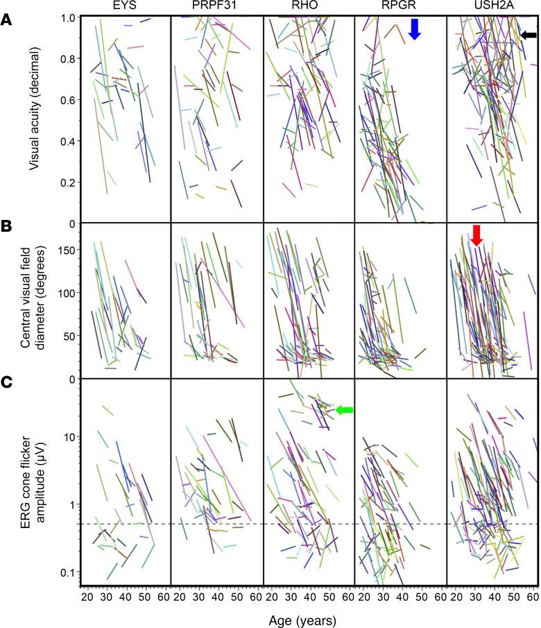 https://cdn.ncbi.nlm.nih.gov/pmc/blobs/ceca/10445682/55a1fb23d512/jciinsight-8-167546-g039.jpg