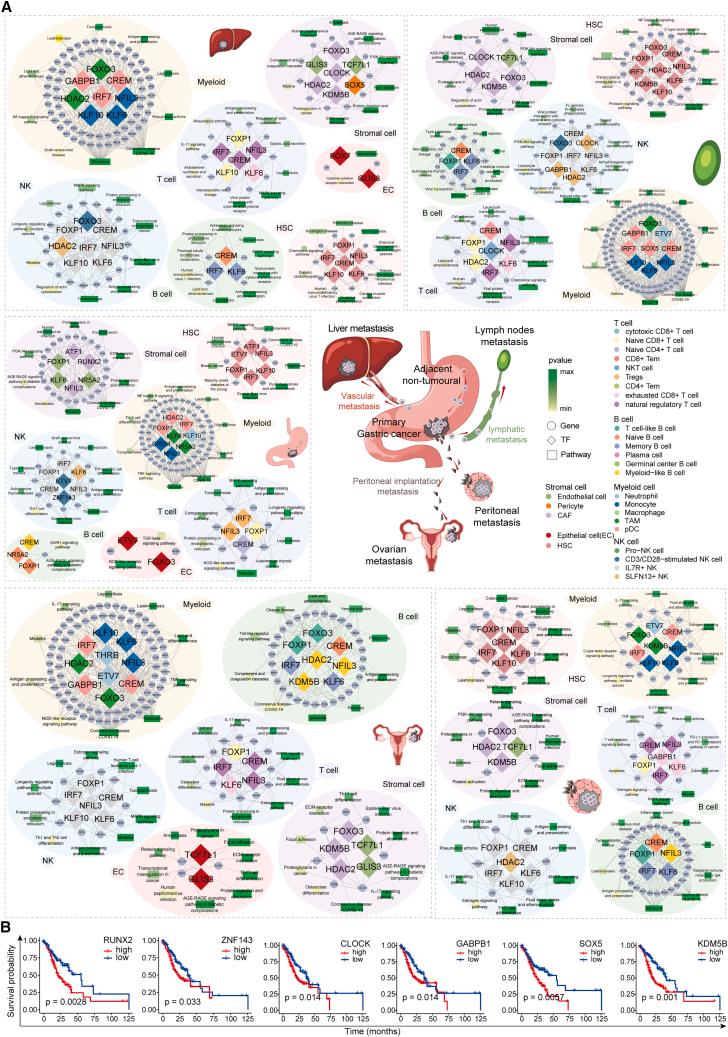https://cdn.ncbi.nlm.nih.gov/pmc/blobs/ced0/11834116/6d7d0b776594/gr5.jpg