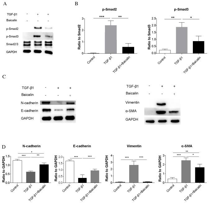 https://cdn.ncbi.nlm.nih.gov/pmc/blobs/ced0/5364985/2a9a6af82d65/MMR-15-04-1702-g04.jpg