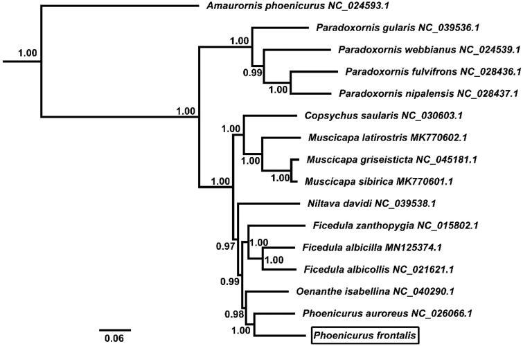 https://cdn.ncbi.nlm.nih.gov/pmc/blobs/ced1/7782104/cf12885dd150/TMDN_A_1773332_F0001_B.jpg
