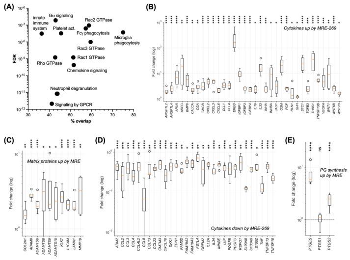 https://cdn.ncbi.nlm.nih.gov/pmc/blobs/ced1/9776493/18f48a2bb3bf/cancers-14-06154-g005.jpg