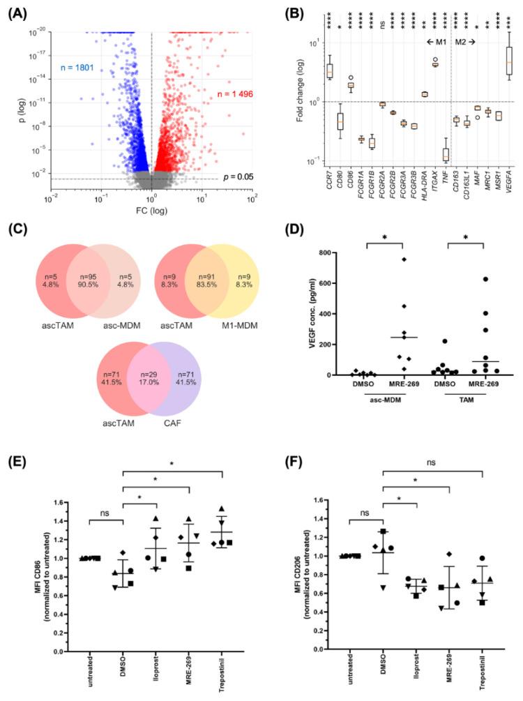 https://cdn.ncbi.nlm.nih.gov/pmc/blobs/ced1/9776493/734030fe37a2/cancers-14-06154-g004.jpg