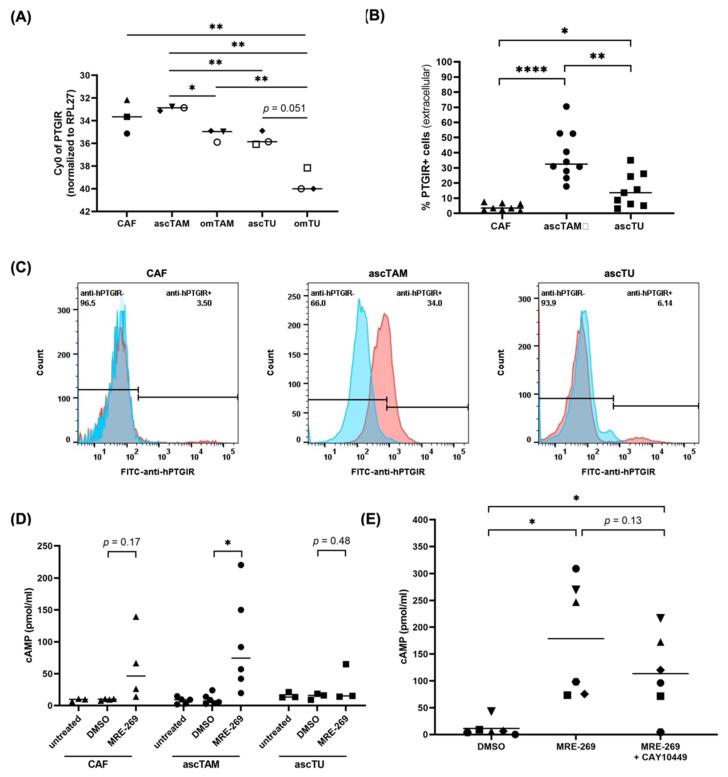 https://cdn.ncbi.nlm.nih.gov/pmc/blobs/ced1/9776493/ba1b090c3ae4/cancers-14-06154-g003.jpg