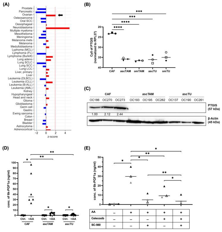 https://cdn.ncbi.nlm.nih.gov/pmc/blobs/ced1/9776493/f7716741d73b/cancers-14-06154-g002.jpg