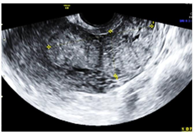 https://cdn.ncbi.nlm.nih.gov/pmc/blobs/ced3/10671948/34ade6637d7f/jpm-13-01563-g002.jpg