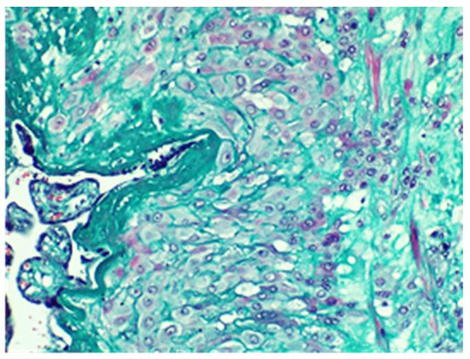 https://cdn.ncbi.nlm.nih.gov/pmc/blobs/ced3/10671948/ef2ea40d611b/jpm-13-01563-g008.jpg