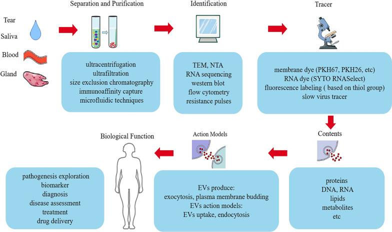 https://cdn.ncbi.nlm.nih.gov/pmc/blobs/ced4/9166483/4bb2d5739ed2/13287_2022_2912_Fig1_HTML.jpg