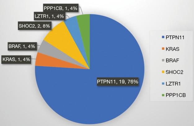 https://cdn.ncbi.nlm.nih.gov/pmc/blobs/ced6/11320002/82f63f71ba49/tp-13-07-1161-f1.jpg