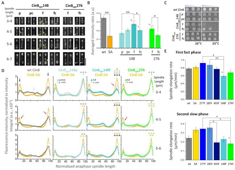 https://cdn.ncbi.nlm.nih.gov/pmc/blobs/ced6/6567808/b02913ee91fd/ijbsv15p1125g004.jpg