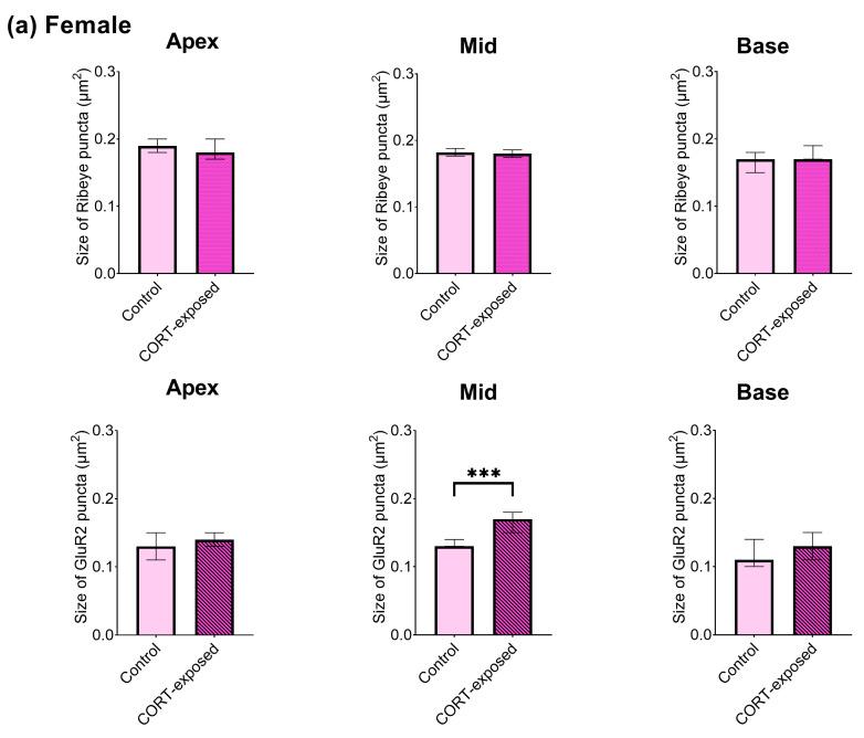 https://cdn.ncbi.nlm.nih.gov/pmc/blobs/ced8/12110336/69b20a3786e9/brainsci-15-00441-g006a.jpg