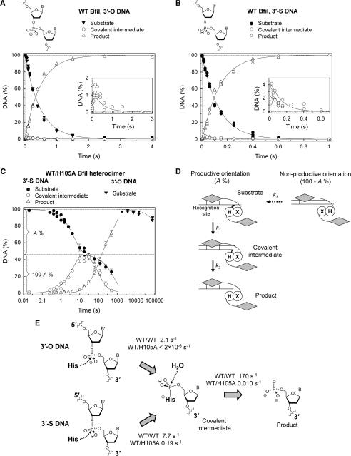 https://cdn.ncbi.nlm.nih.gov/pmc/blobs/ceda/2853115/1092b55c9637/gkp1194f3.jpg