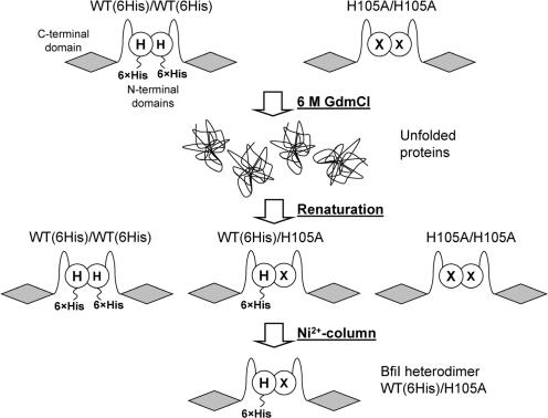 https://cdn.ncbi.nlm.nih.gov/pmc/blobs/ceda/2853115/a54df380f667/gkp1194f2.jpg