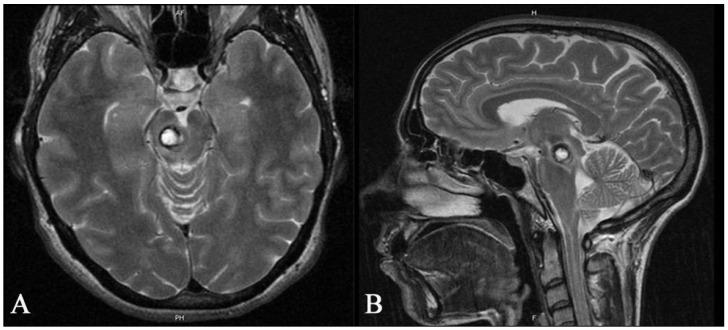 https://cdn.ncbi.nlm.nih.gov/pmc/blobs/cedb/10537097/98ae68741b4e/medicina-59-01601-g005.jpg
