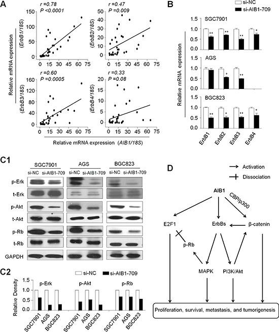 https://cdn.ncbi.nlm.nih.gov/pmc/blobs/cedc/4546471/a401bd341466/oncotarget-06-14344-g006.jpg