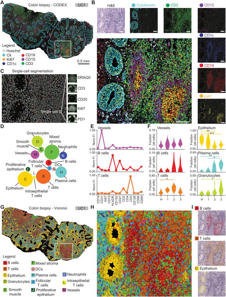 https://cdn.ncbi.nlm.nih.gov/pmc/blobs/cedc/9858501/3ceea2683f75/sciadv.add1166-f1.jpg