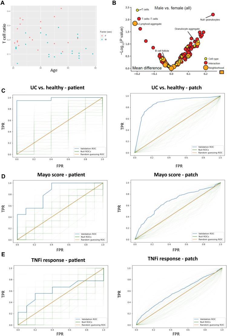 https://cdn.ncbi.nlm.nih.gov/pmc/blobs/cedc/9858501/e0cc2fcc52f9/sciadv.add1166-f4.jpg
