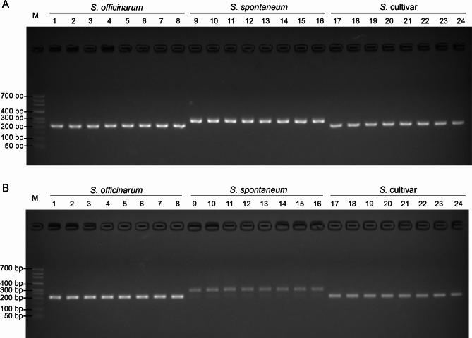 https://cdn.ncbi.nlm.nih.gov/pmc/blobs/cede/11724576/13b05b578081/12864_2025_11210_Fig6_HTML.jpg